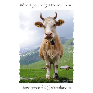 Postkarte Won´t you forget to write home how beautiful Switzerland is&hellip;